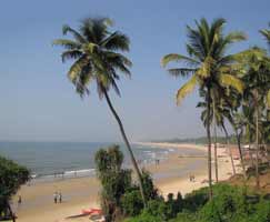 Goa Honeymoon