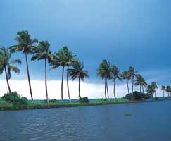 Tour Package In Goa